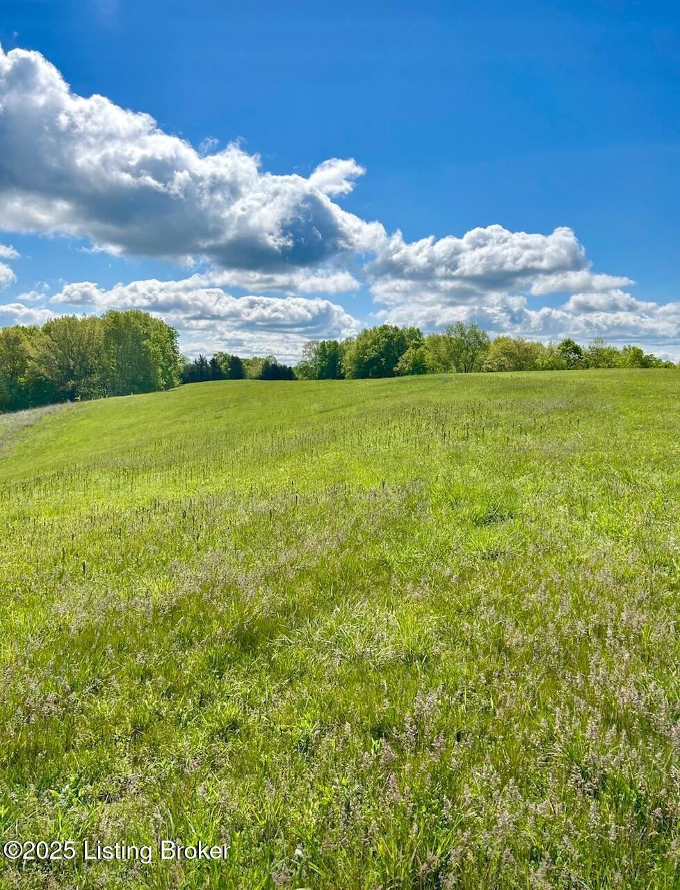Cleared Field