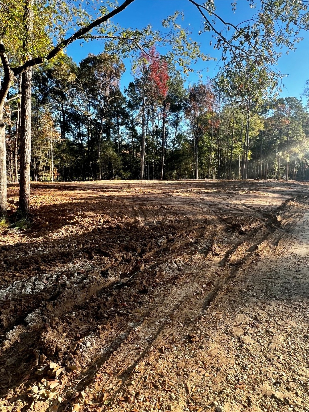 15209 Saddlewood Dr, Conroe, TX 77384 - photo 1