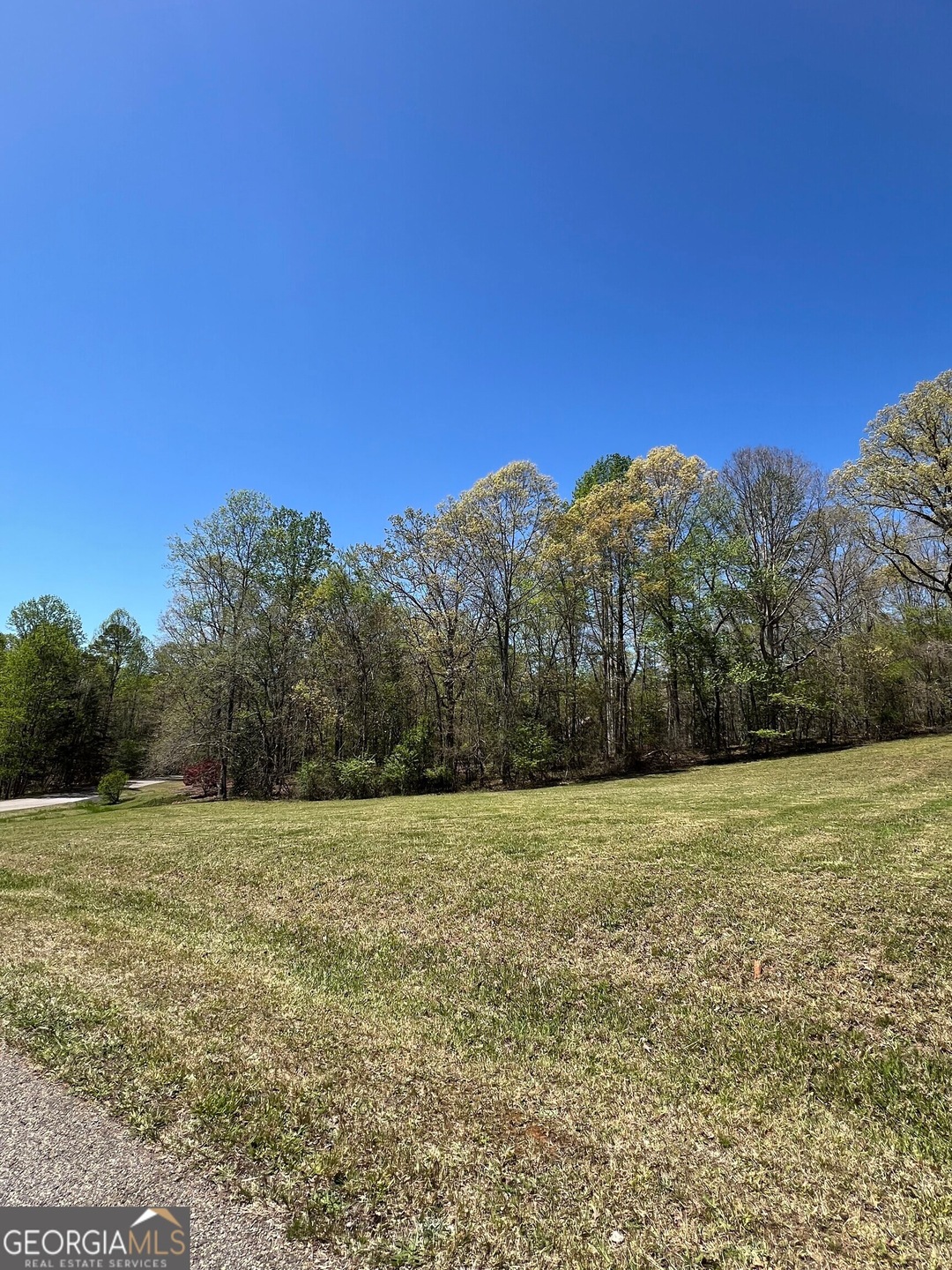 0 Majestic Way unit 10500256, Clarkesville, GA 30523 - photo 1