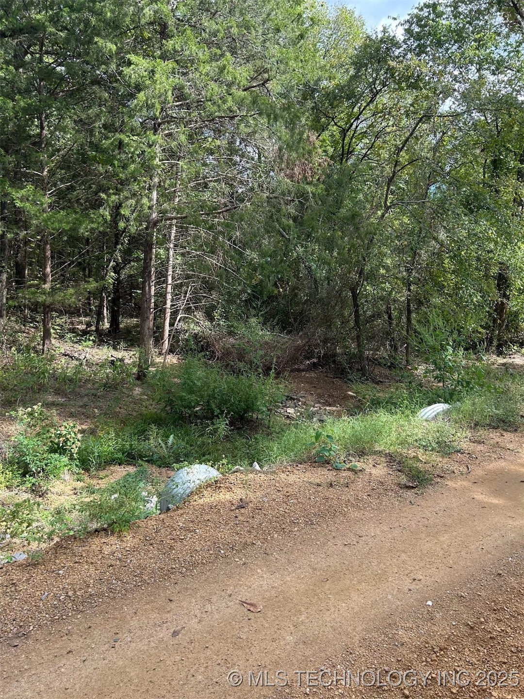 1431 Easy St, Tishomingo, OK 73460 - photo 1