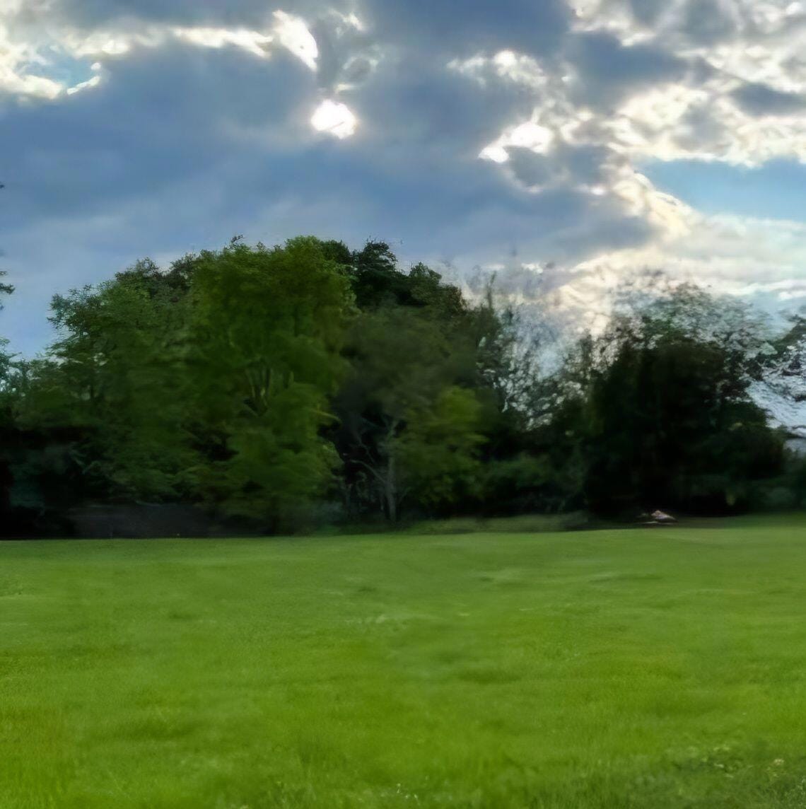 Cleared, corner lot.