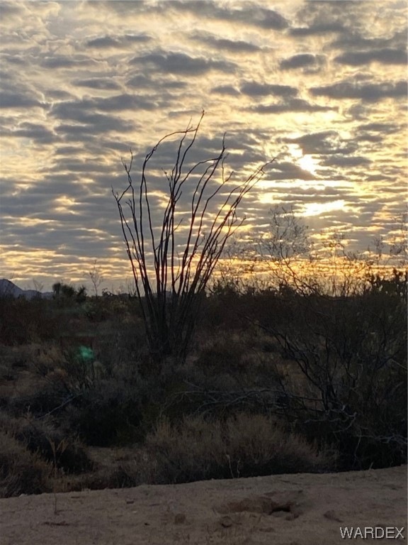 946 S Butch Cassidy Rd, Yucca, AZ 86438 - photo 1