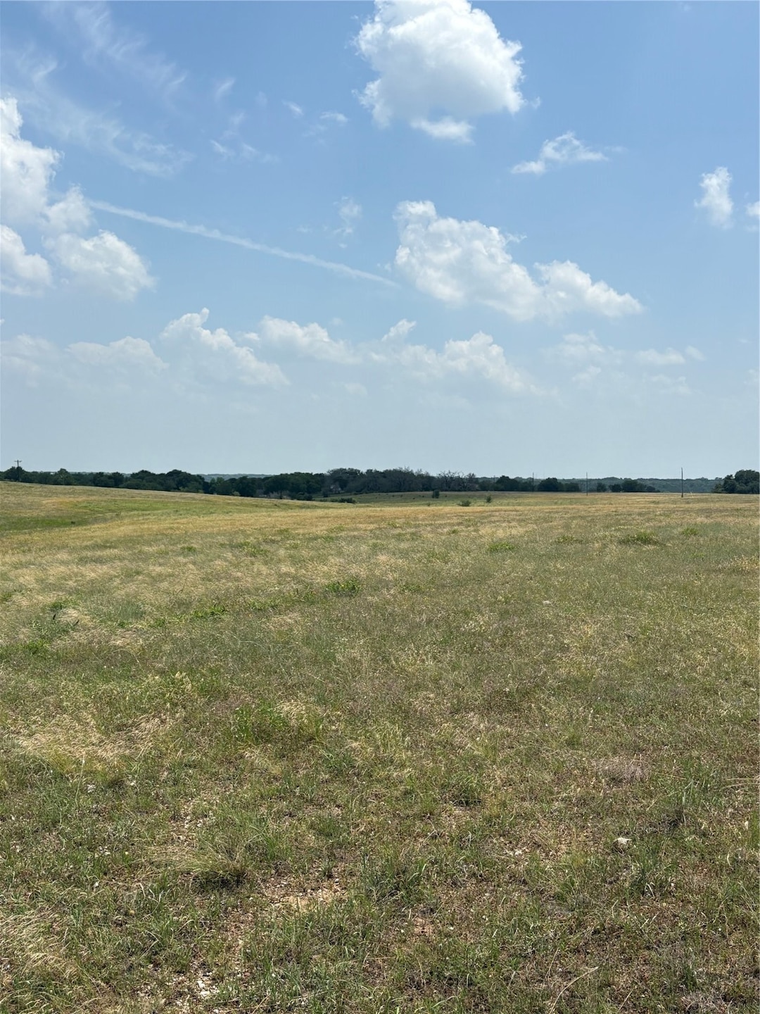 TBD LOT 2 Cr 3565, China Spring, TX 76633 - photo 1