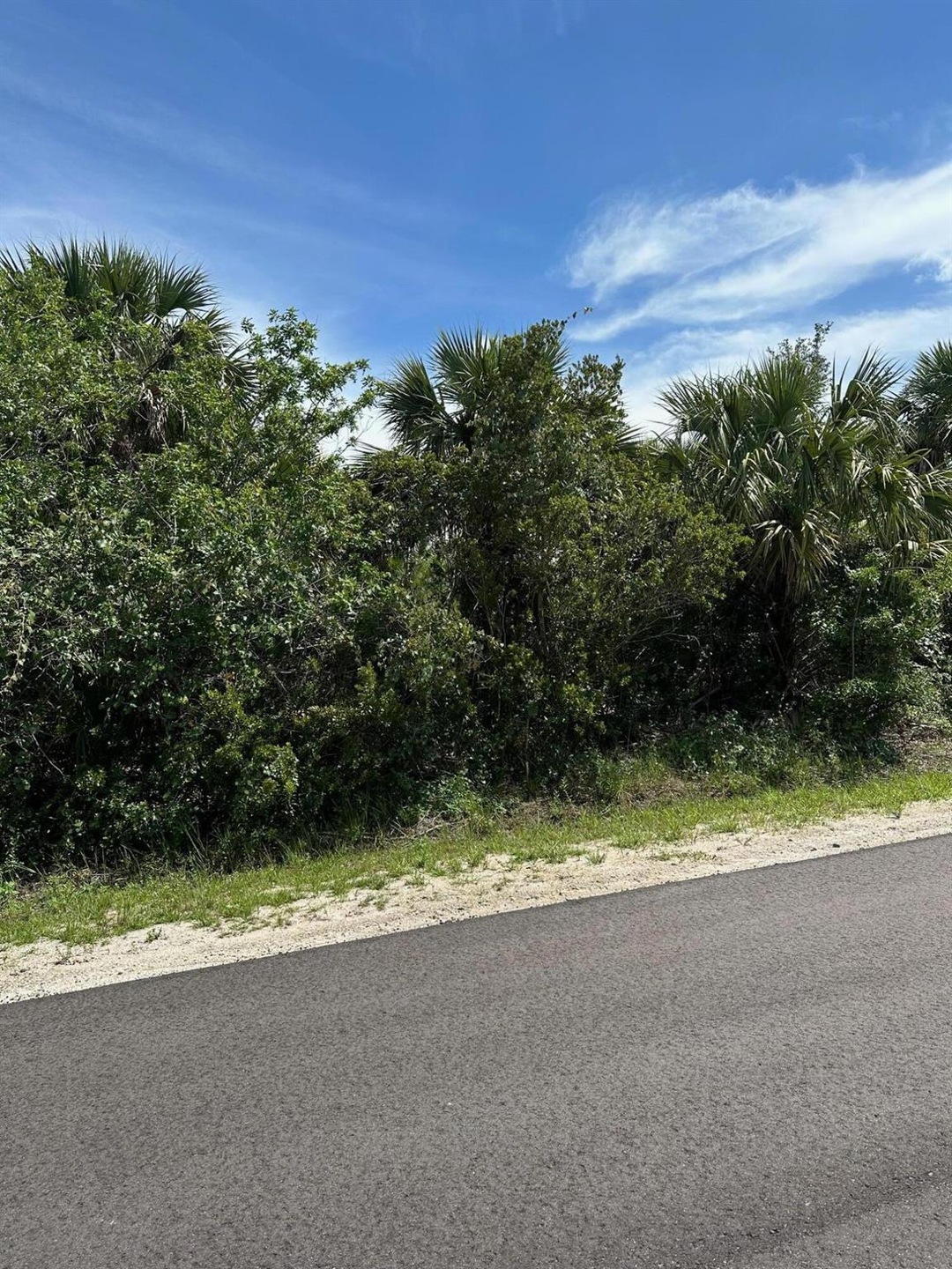 Sold $31,000 • Co-Listing Agent