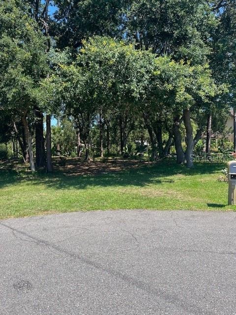 16 Whitaker Place, Palm Coast, FL 32164 - photo 1