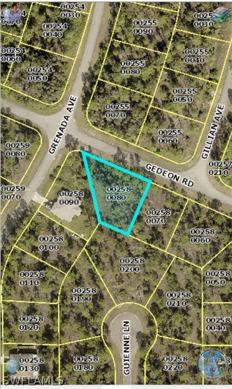 828 Gedeon Rd, Lehigh Acres, FL 33974 - photo 1