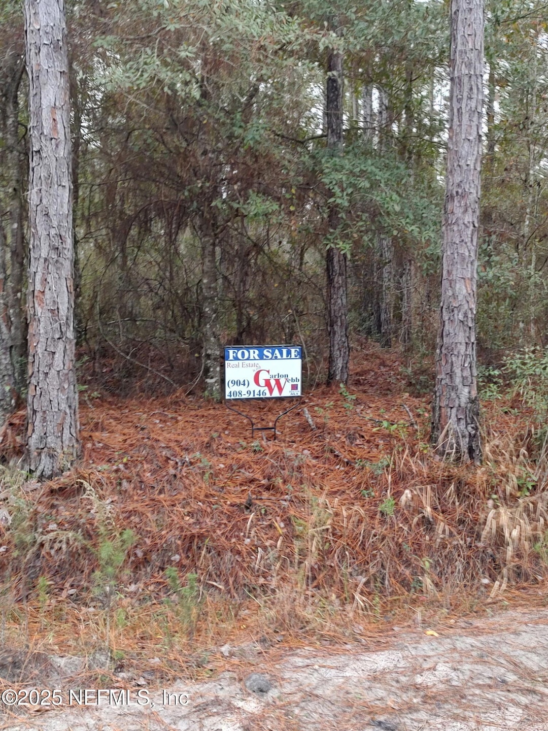 1757 Whippoorwill Ln, Glen St. Mary, FL 32040 - photo 1