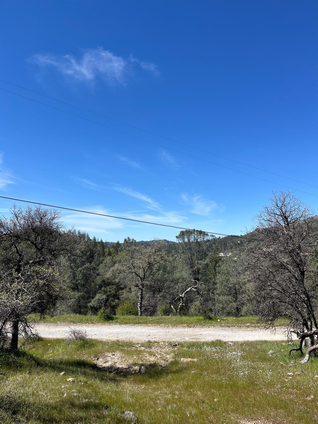 Pending $74,900 • Co-Listing Agent