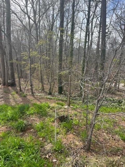 263 Ethel Ln, Statesville, NC 28625 - photo 1