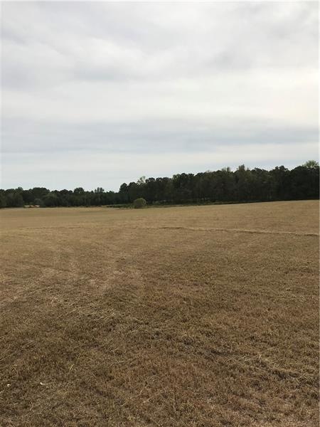 4830 E Fairview Rd SW, Stockbridge, GA 30281 - photo 1