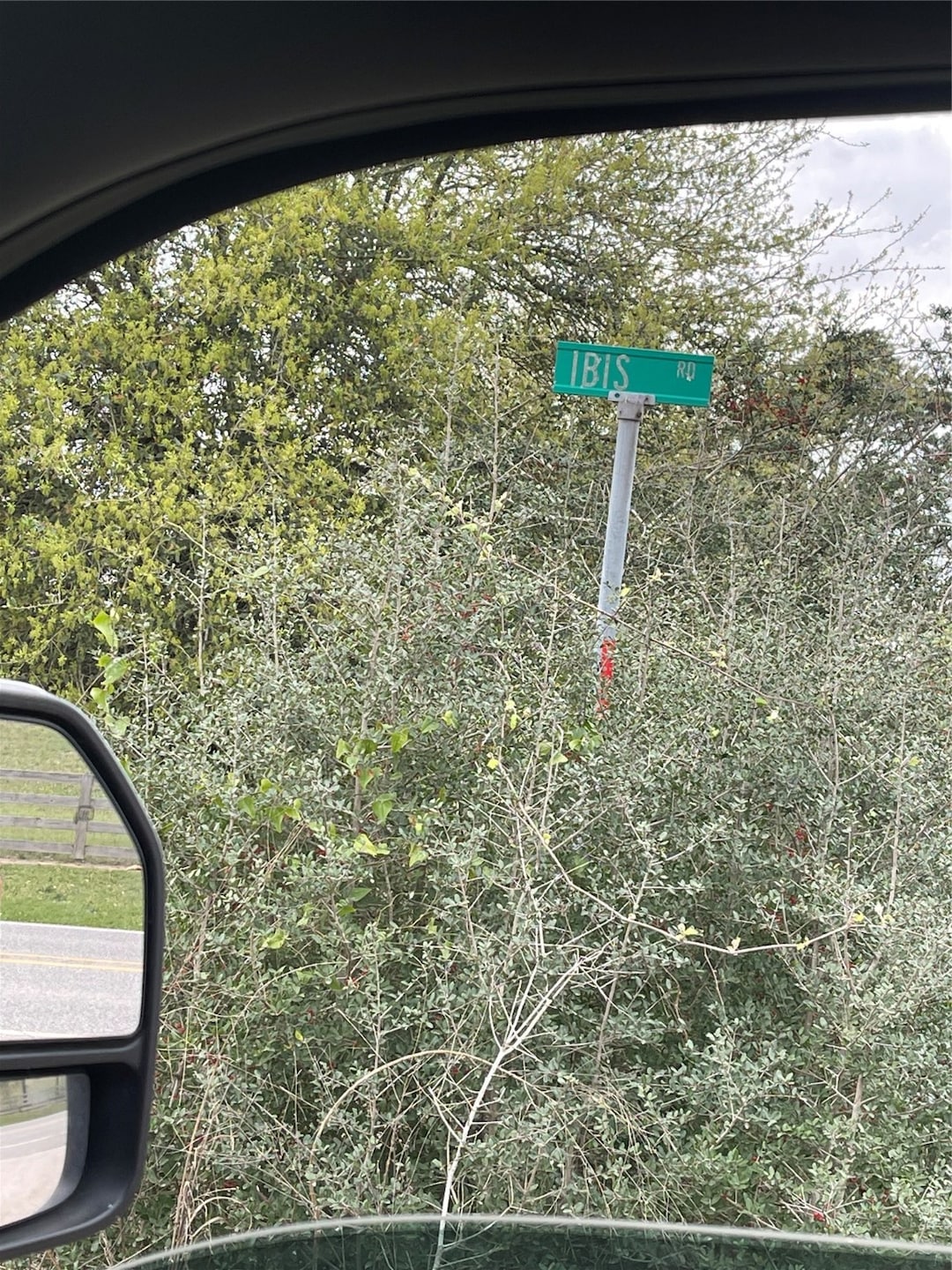 TBD Ibis Rd, Hockley, TX 77447 - photo 1