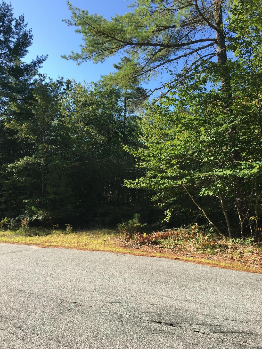Lot Entrance