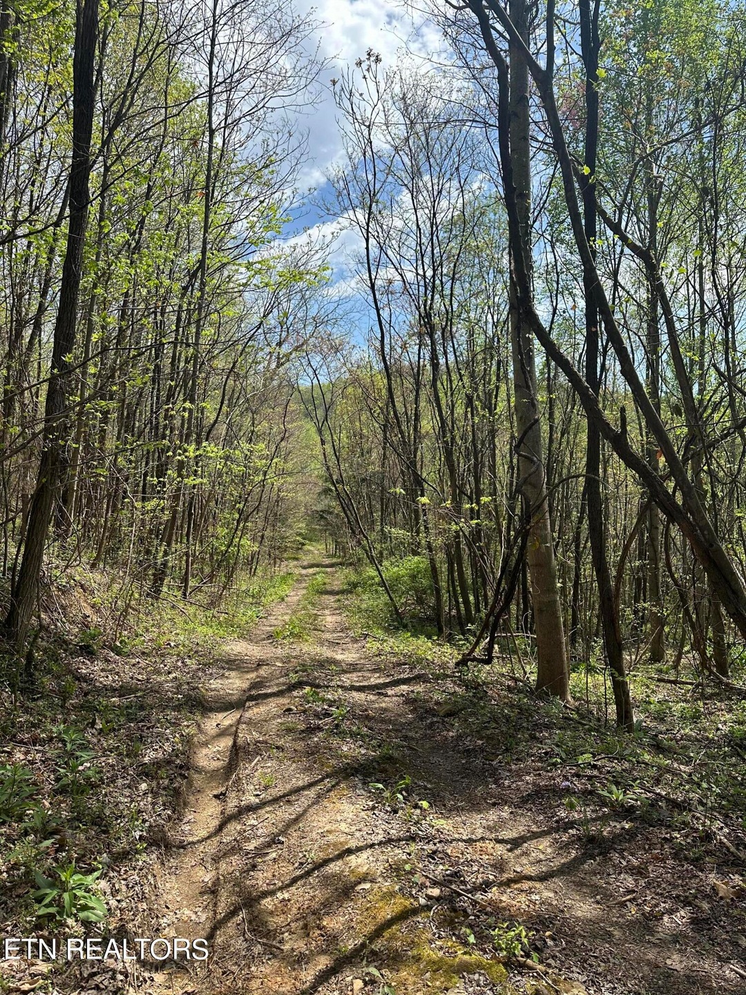 road in property