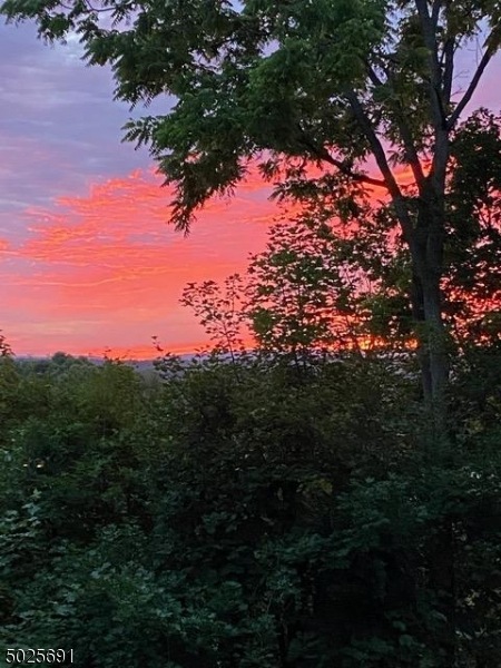 11 High Pt CI, Franklin Boro, NJ 07416 - photo 1