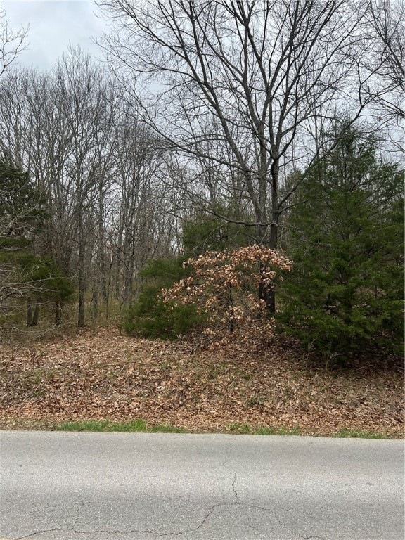 4 Oniell Dr, Bella Vista, AR 72715 - photo 1