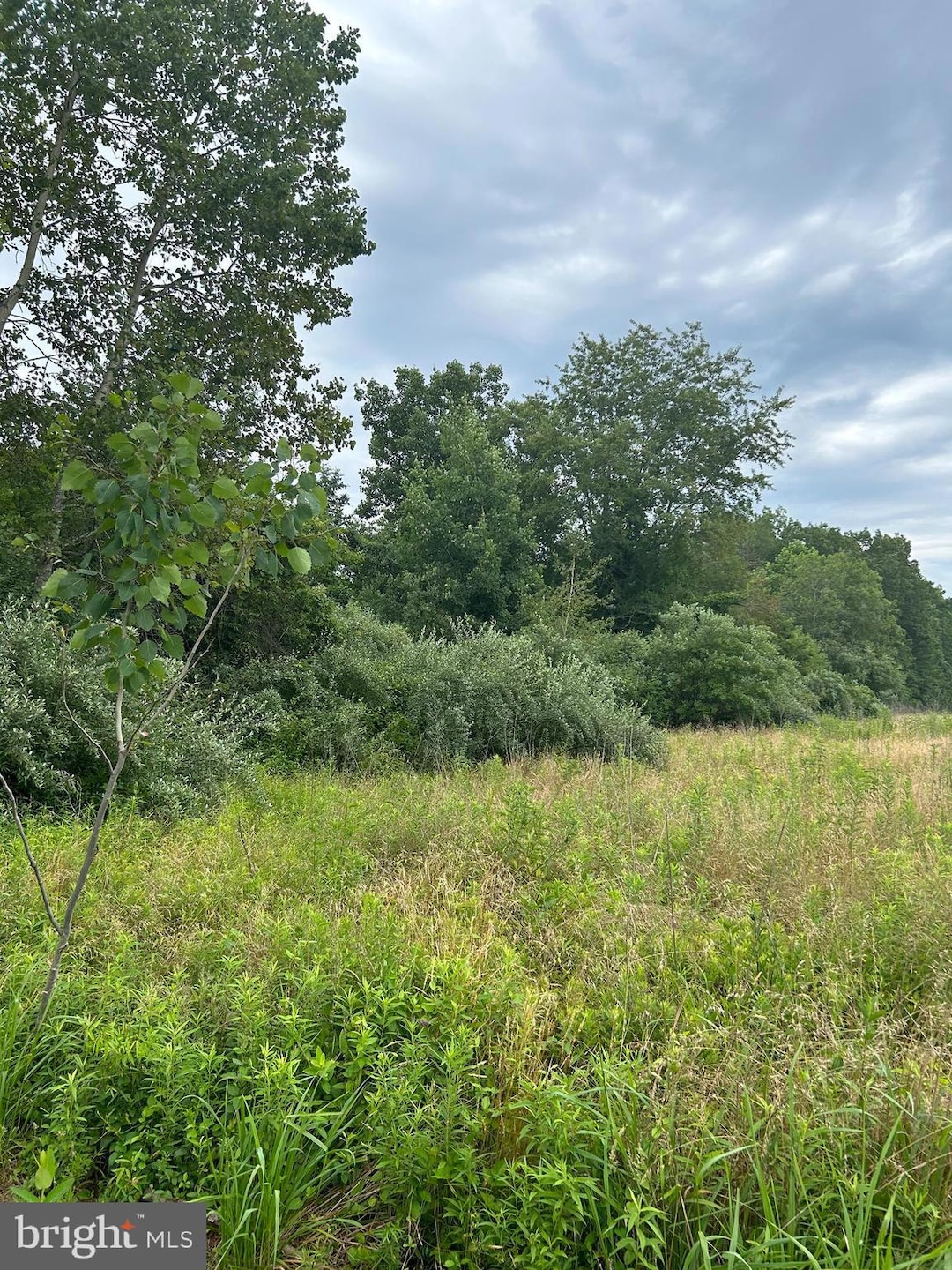 0 Lincoln Ave, Franklin, NJ 08322 - photo 1