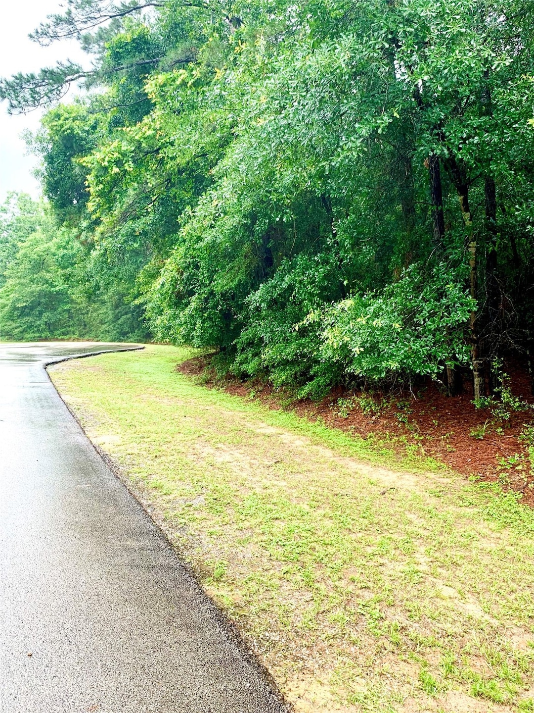 0000 Becky Ln, Magnolia, TX 77354 - photo 1