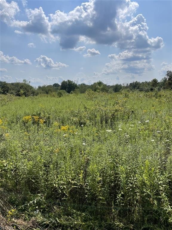 0 Ohio 45, Wellsville, OH 43968 - photo 1