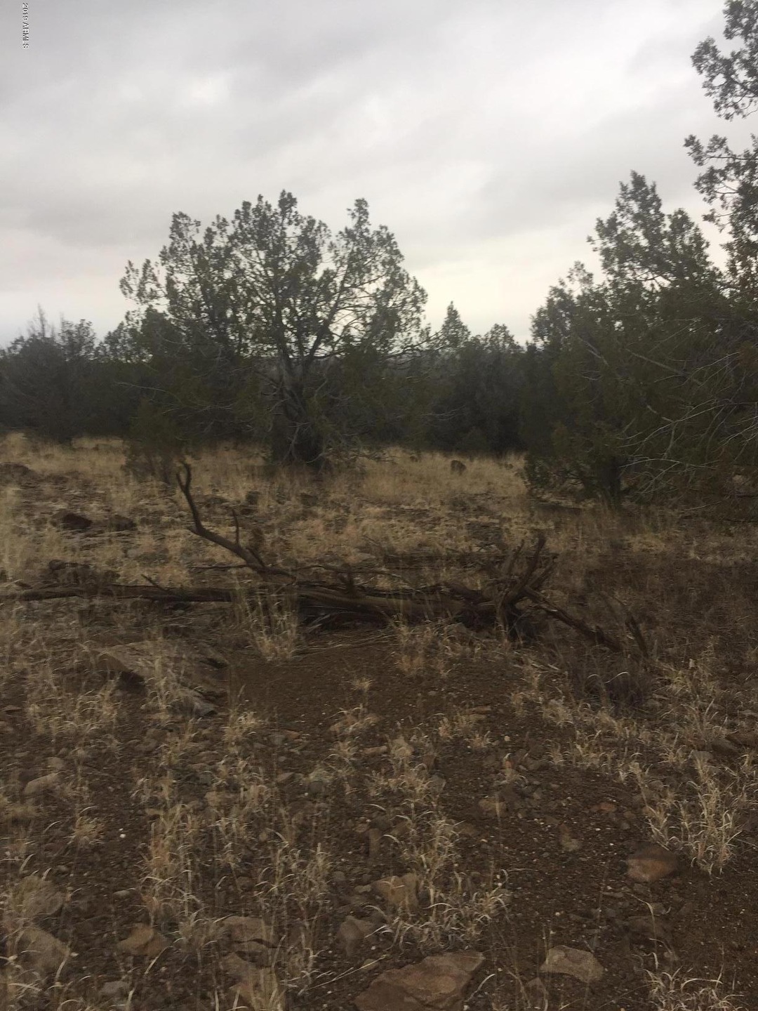 ... Camp Rd unit 231/C, Ash Fork, AZ 86320 - photo 1