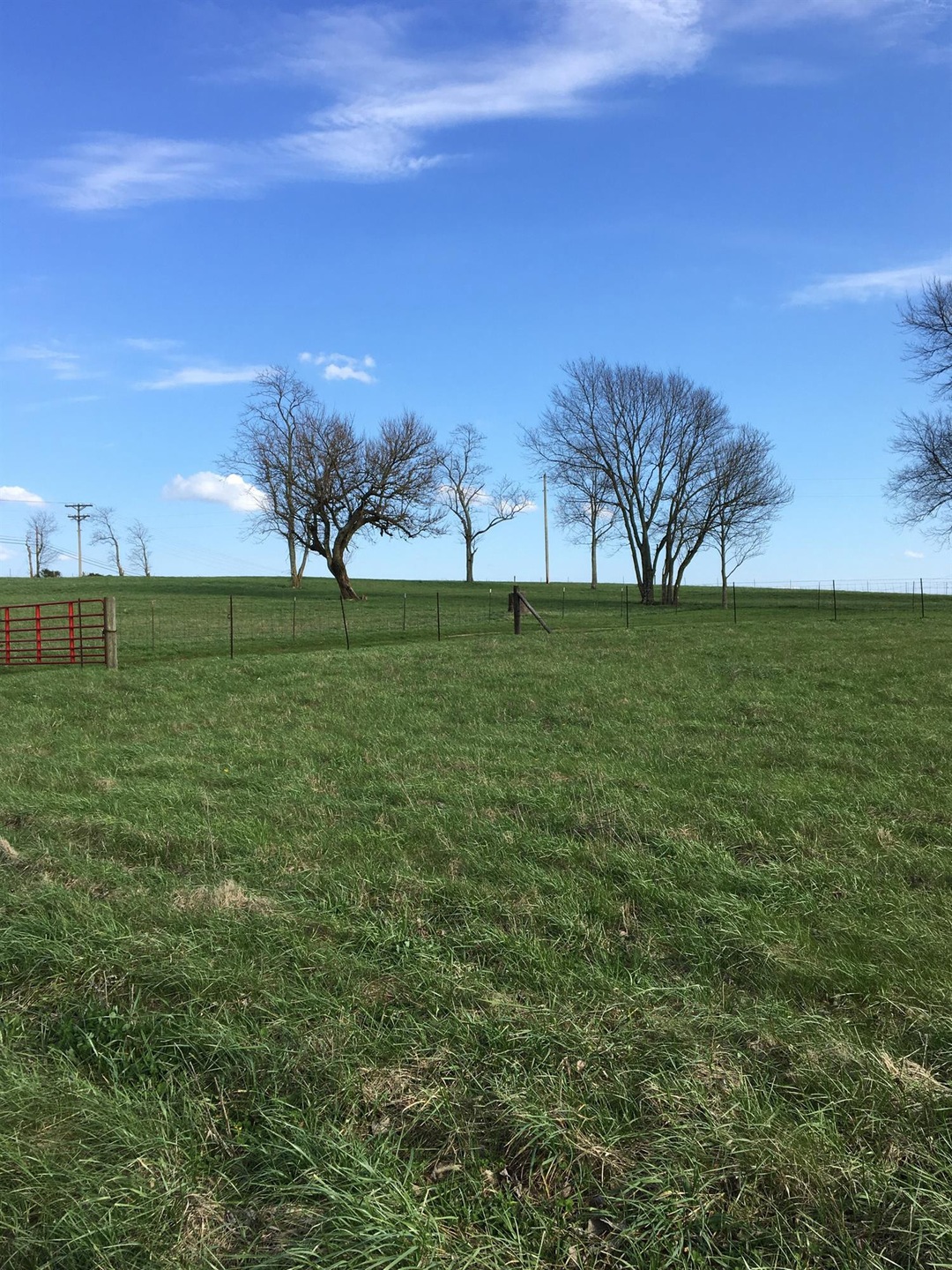 1401 Union Mill Rd, Nicholasville, KY 40356 - photo 1