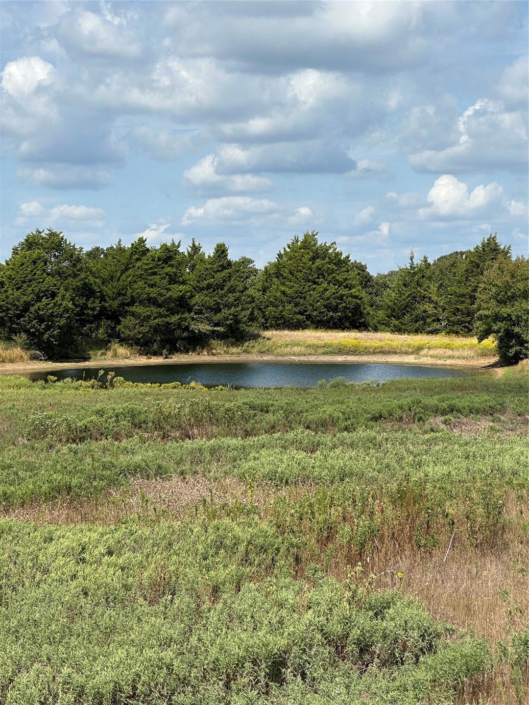 799 Jewel Ln, Whitesboro, TX 76273 - photo 1