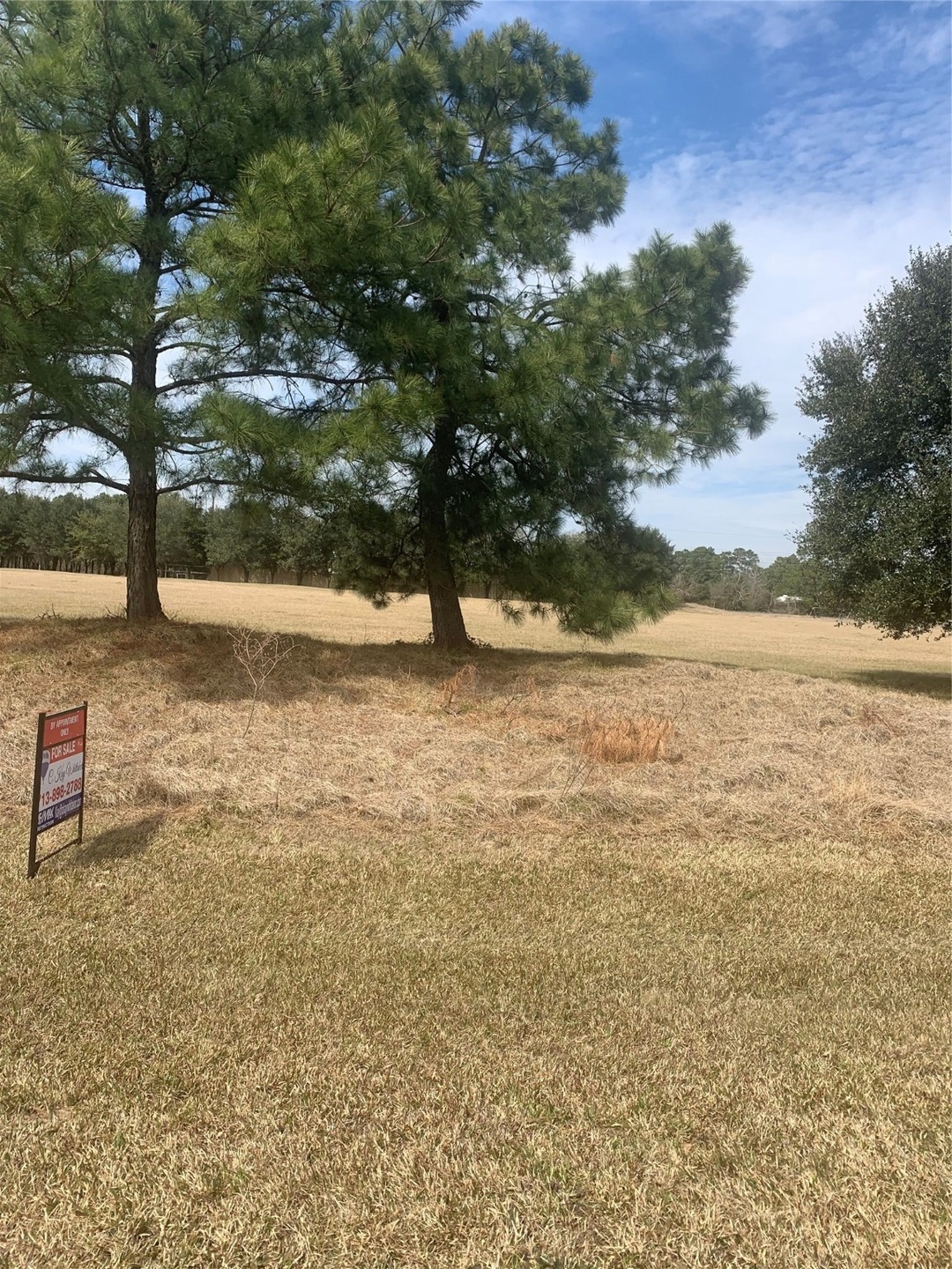 330 Meadow Lake, Magnolia, TX 77355 - photo 1