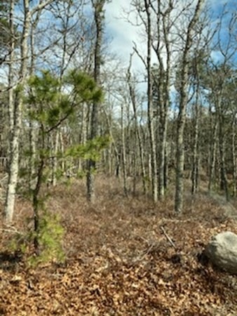 Sold $215,000 • Co-Listing Agent