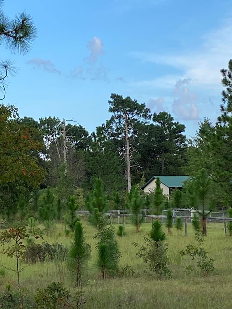 Main View