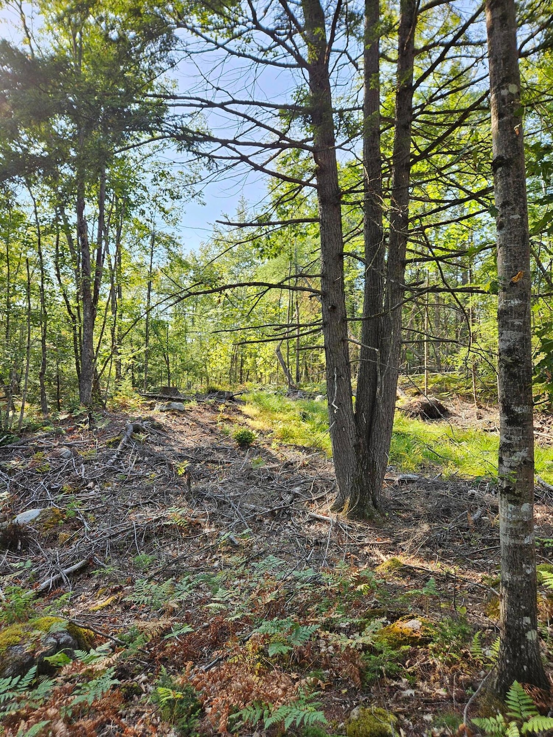 Lot A. Serenity Ln, Oxford, ME 04270 - photo 1