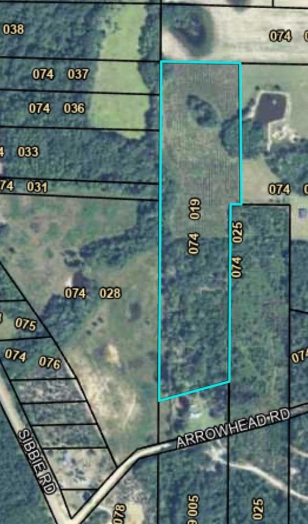0 Arrowhead Rd, Abbeville, GA 31001 MLS 57804