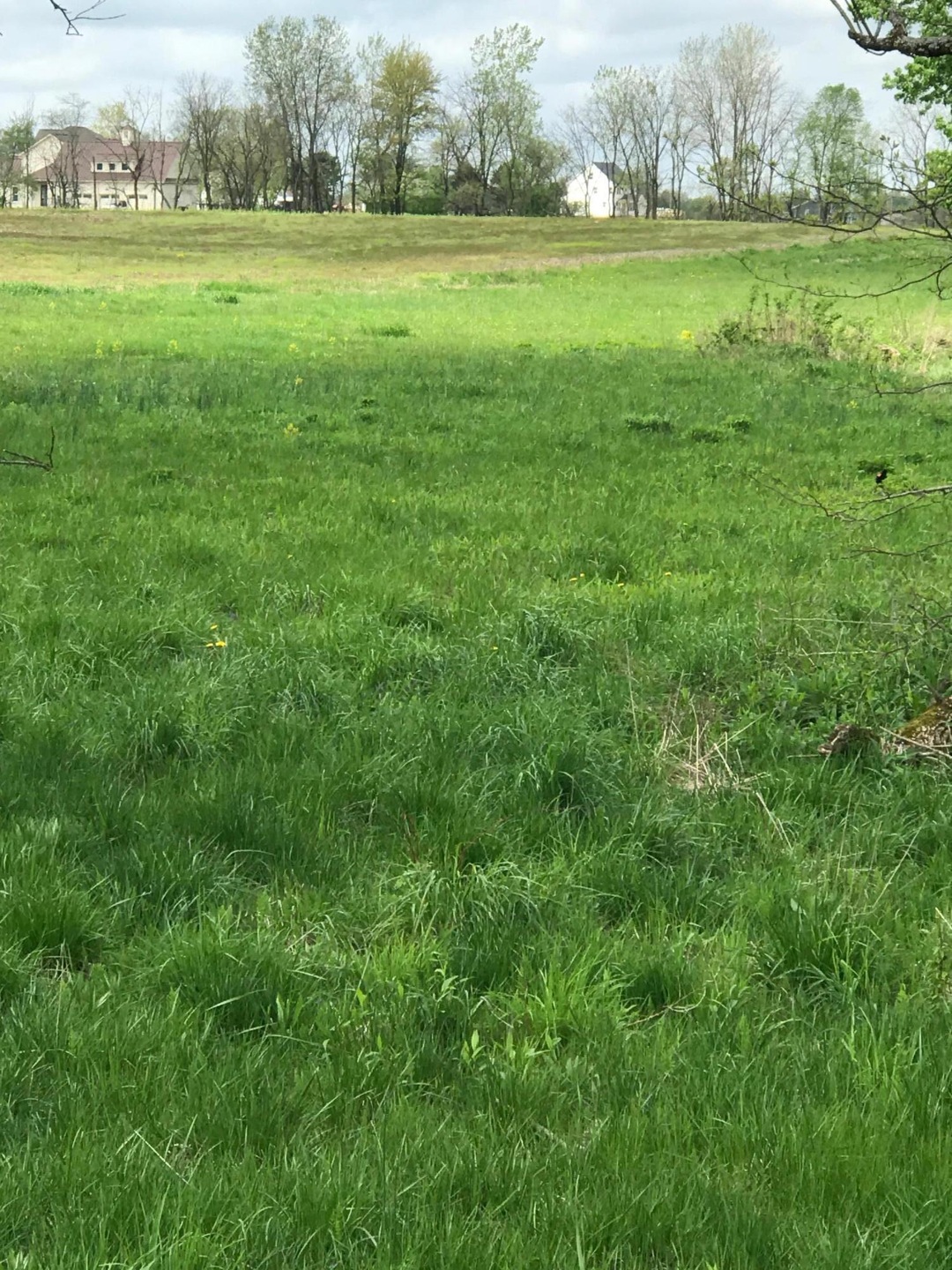 3240 S County line rd pic 3 dup