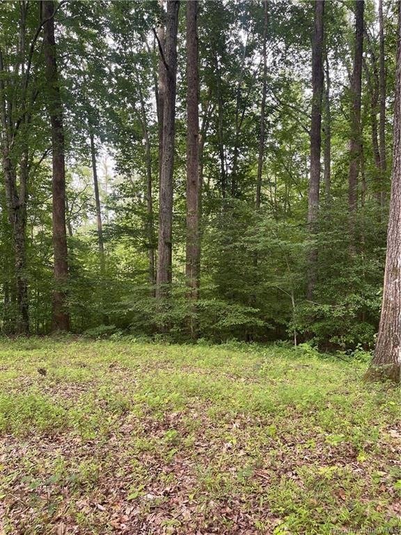 9767 Mohican Dr, Gloucester, VA 23061 - photo 1