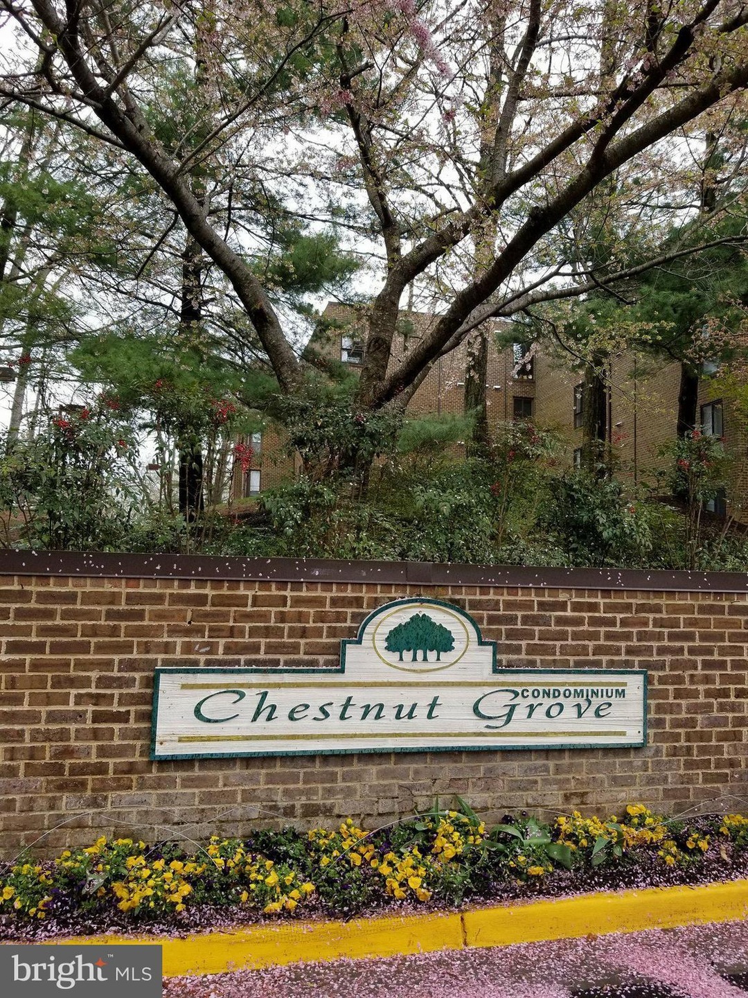 11220 Chestnut Grove Square unit 121, Reston, VA 20190 - photo 1