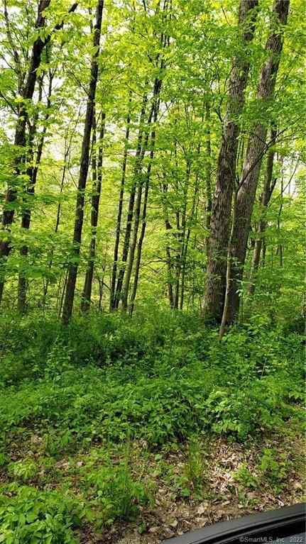 176 Brushy Hill Rd, Woodbury, CT 06798 - photo 1