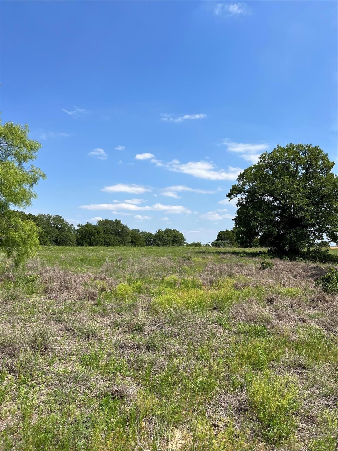 Lot 15 Kilkenny Rd, Poolville, TX 76487 - photo 1