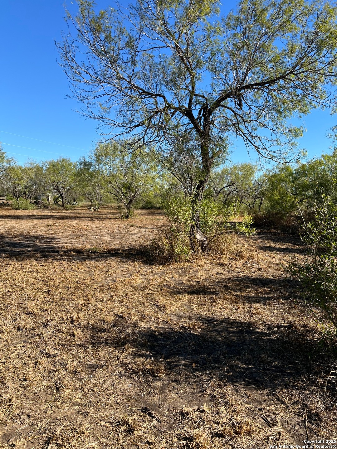 00 Mesquite and Mulberry, Jourdanton, TX 78026 - photo 1