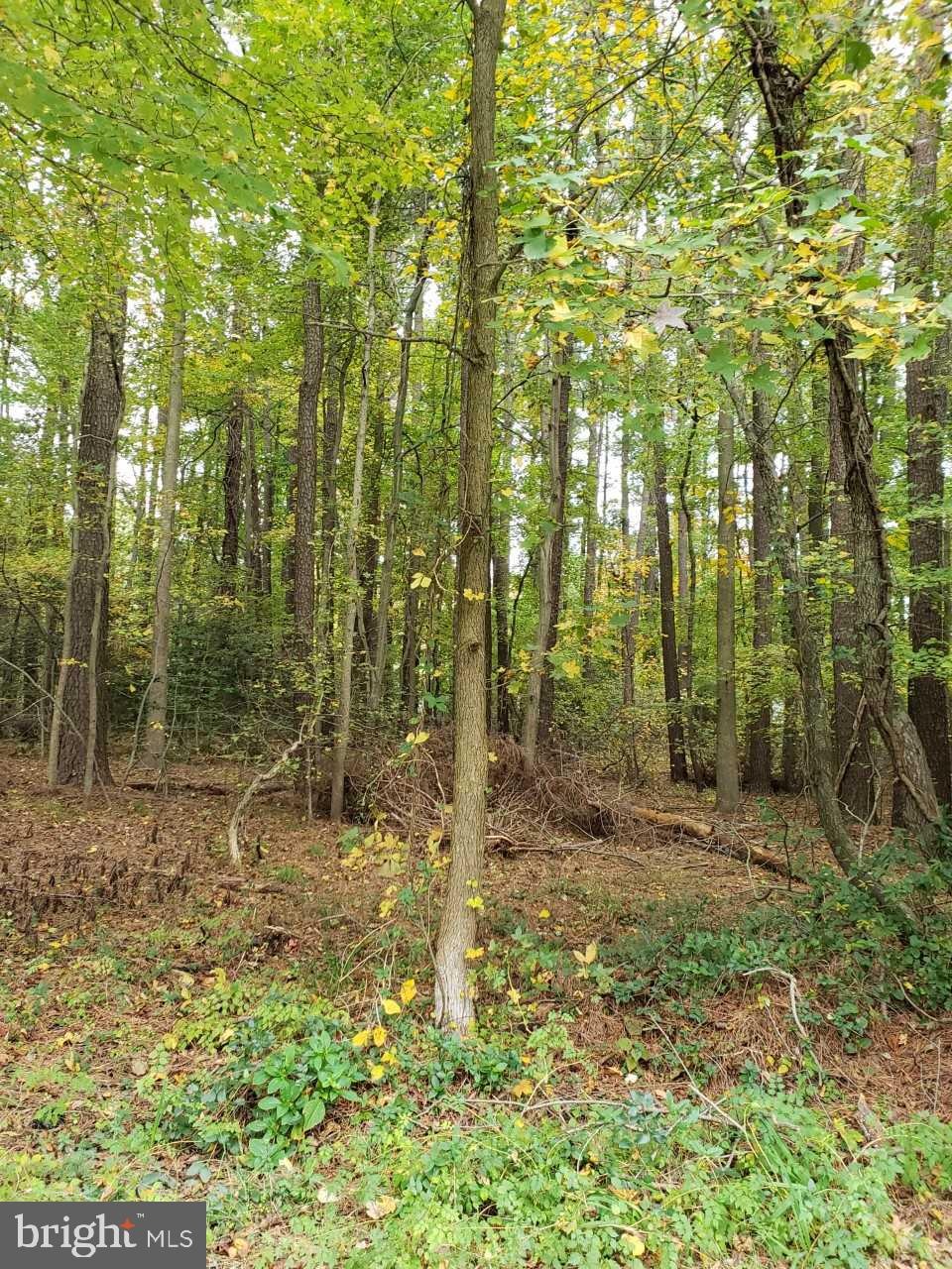 0 Worcester Dr, Stevensville, MD 21666 - photo 1