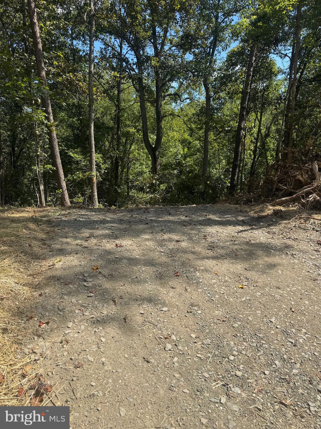 Vacant Land Cabin Branch Rd, Marshall, VA 20115 - photo 1