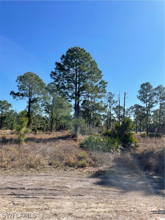 1139 Haven Ave S, Lehigh Acres, FL 33974 - photo 1