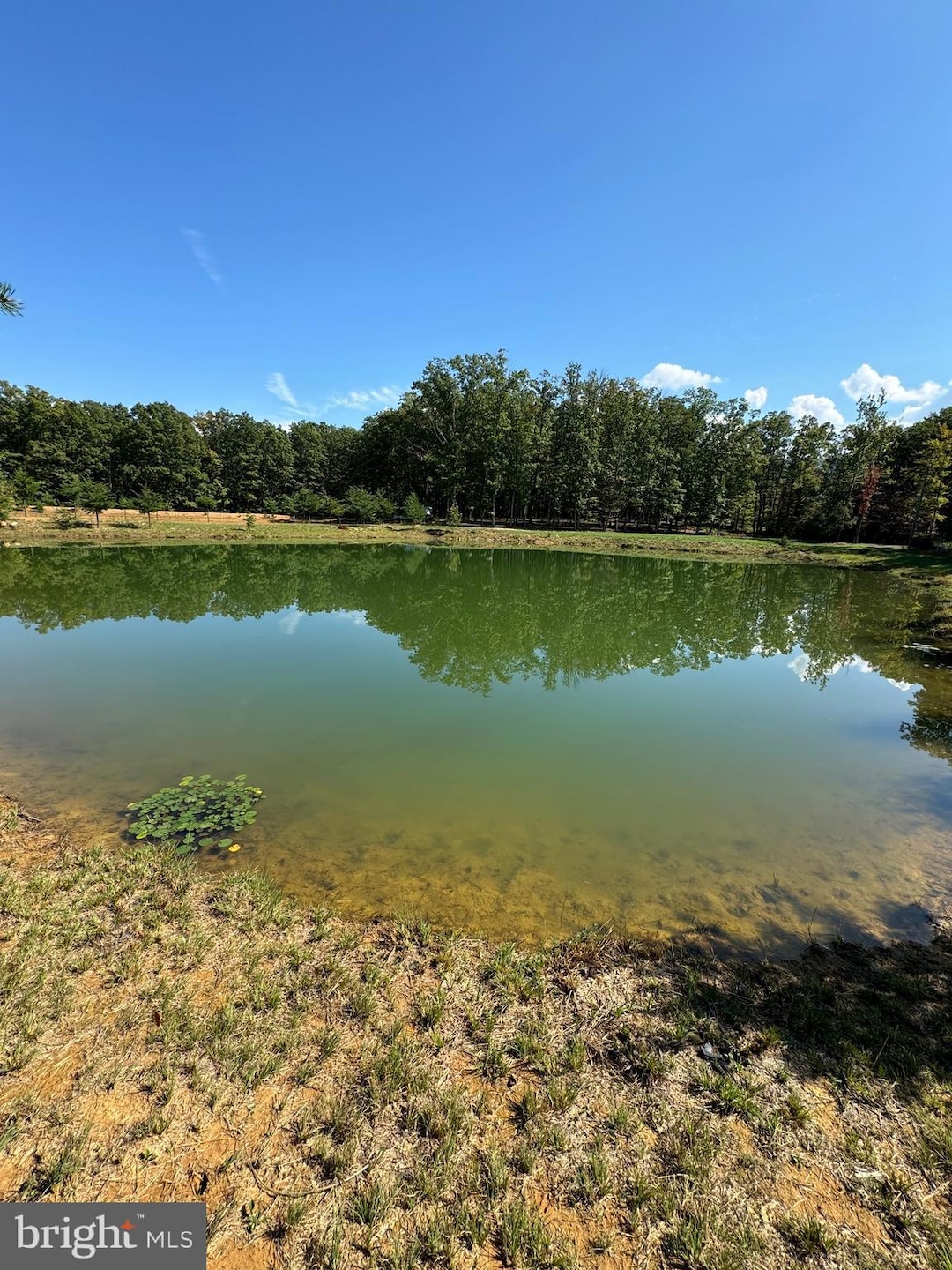 For Sale $249,000 • Co-Listing Agent