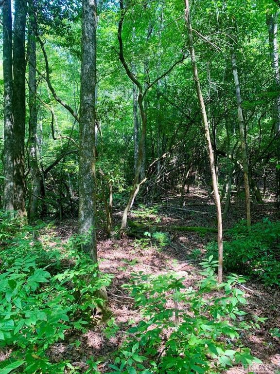 TBD Double Creek Dr, Brevard, NC 28712 - photo 1