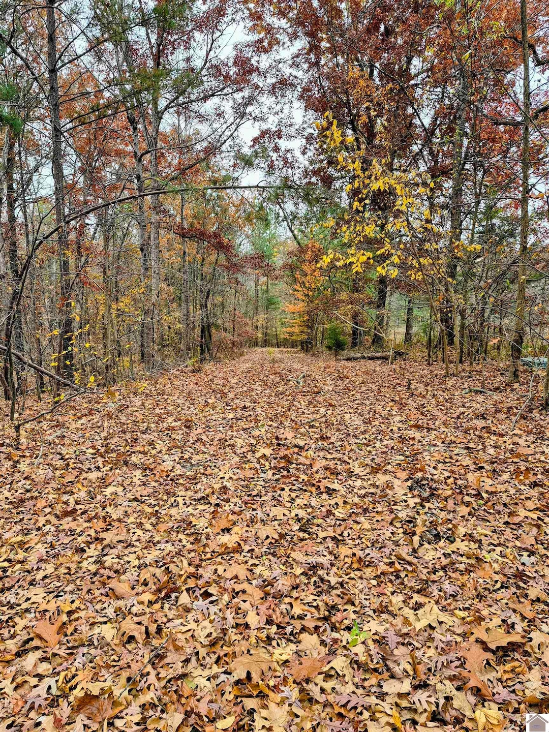 0 Bear Run, Benton, KY 42025 - photo 1