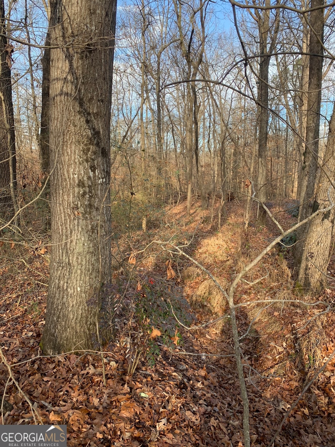 0 S Tanglewood Dr unit 10538269, Royston, GA 30662 - photo 1