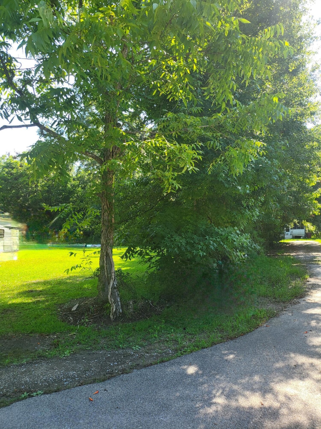 Lot #92 N Blanks Ave