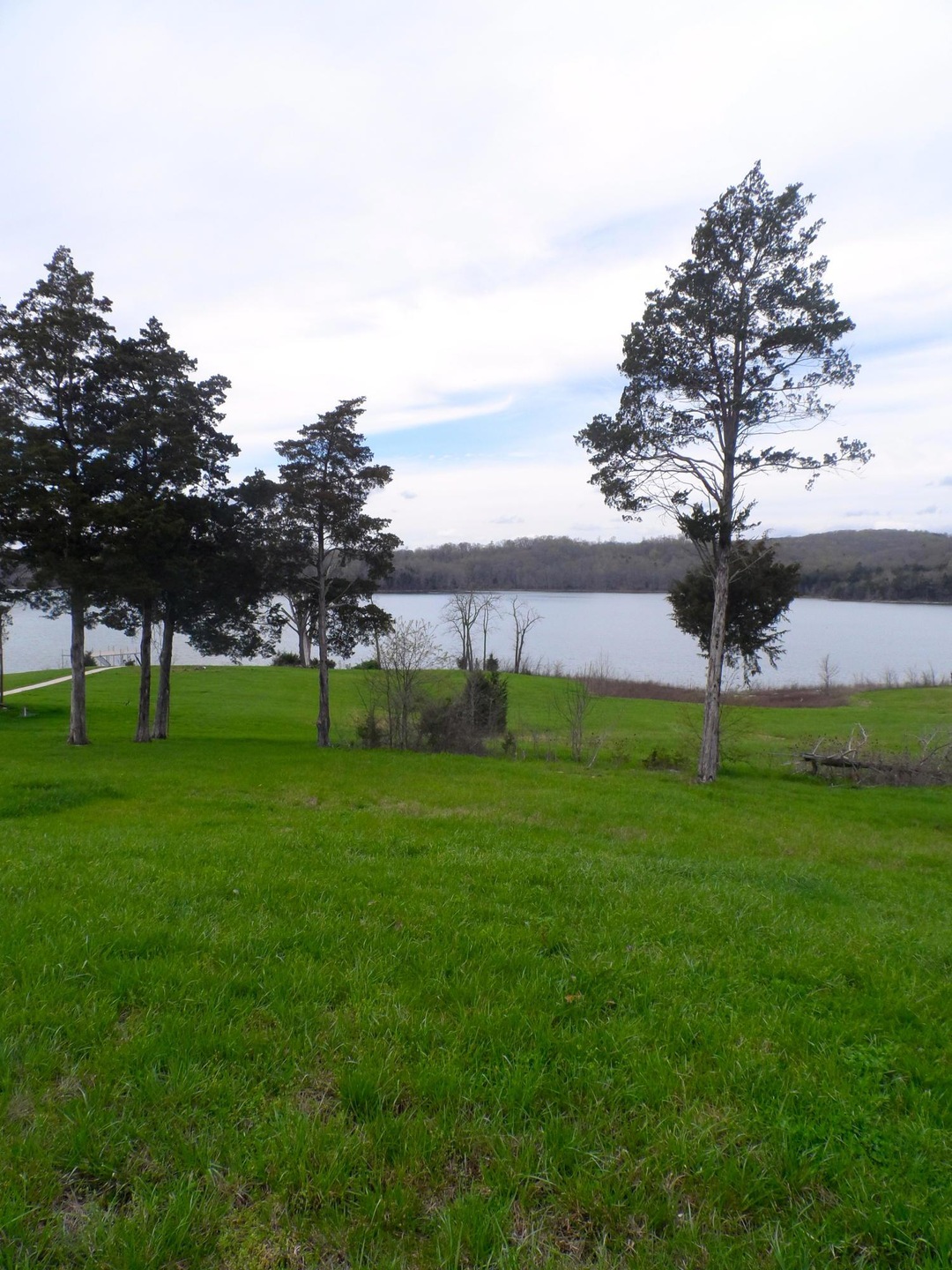 Looking From Raod