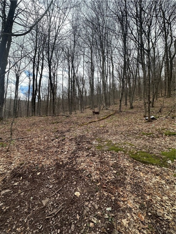 0 Kims Way, Blenheim, NY 12131 - photo 1