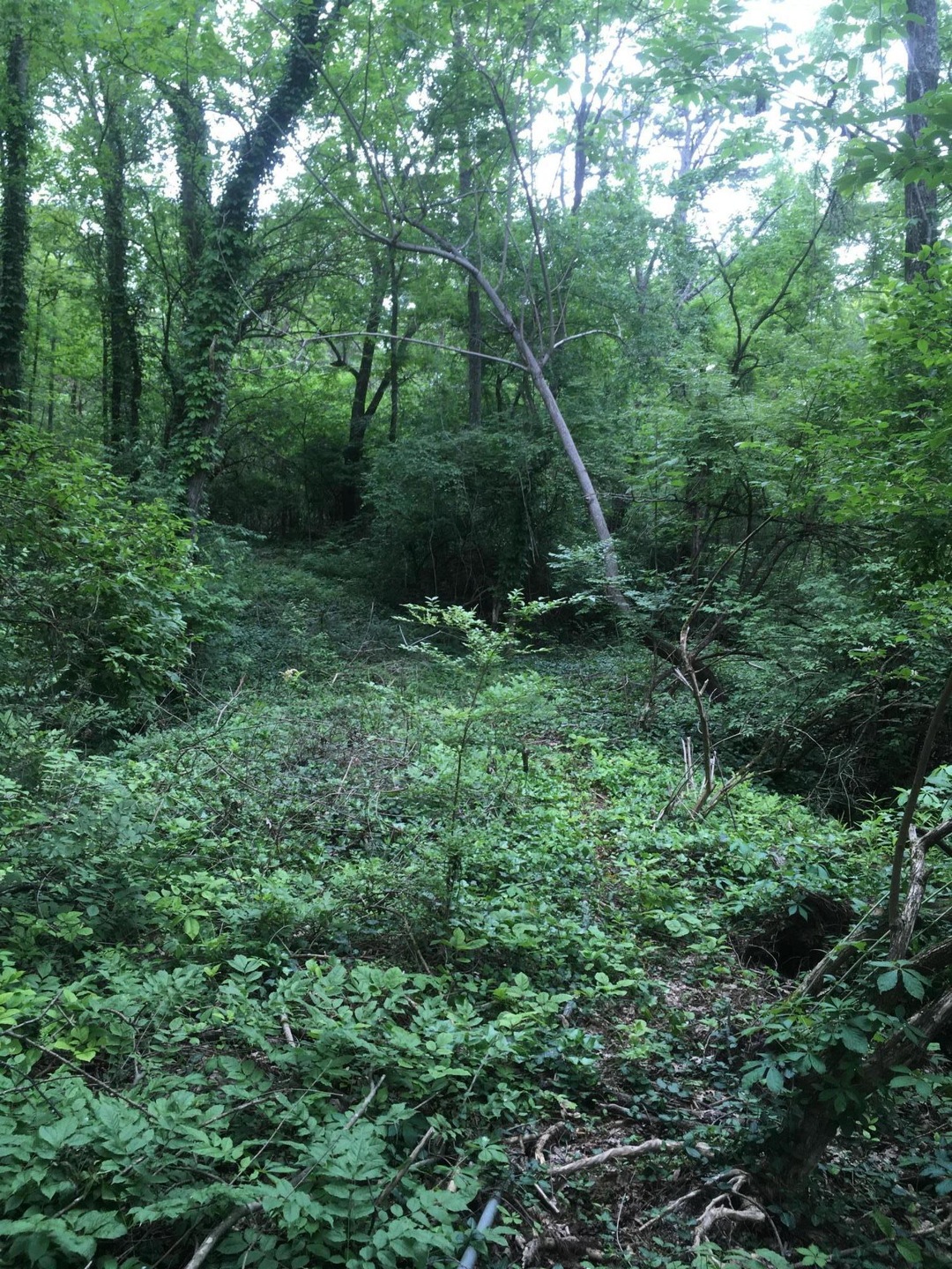 157 Acres