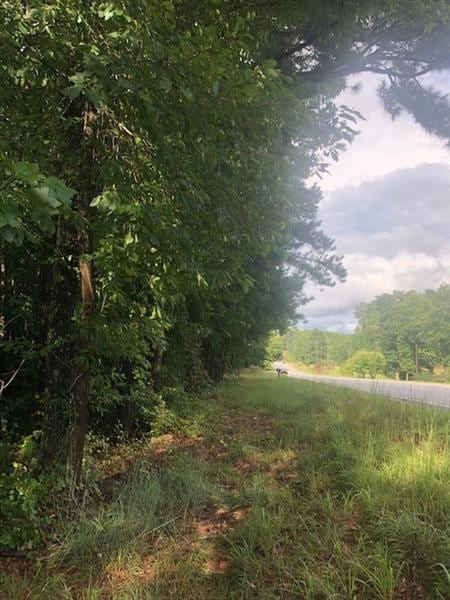 9474 Us Highway 78, Bremen, GA 30110 - photo 1