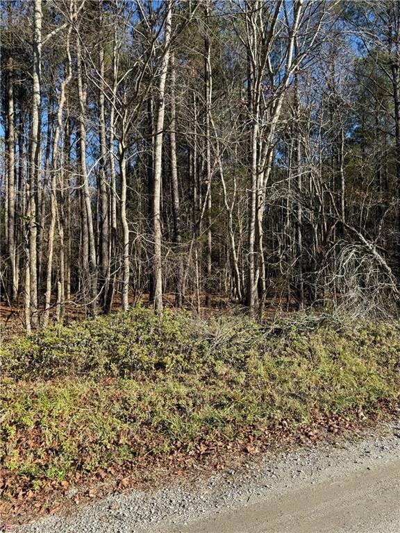 .95AC Cowpen Neck Rd, Gloucester, VA 23061 - photo 1