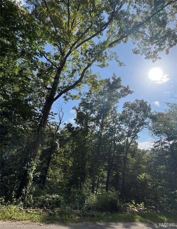 0 2nd St unit MAR24053902, Jasper Township, MO 65740 - photo 1